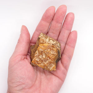 Amber Beach Stone 33.3 Grams