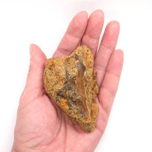 Load image into Gallery viewer, Amber Beach Stone 59 Grams
